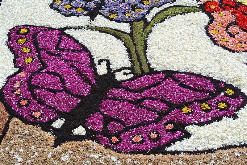 pietra-ligure-infiorata