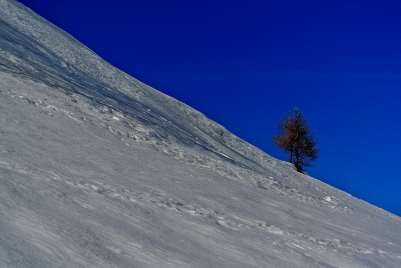 Ciaspolare in Liguria itinerari ed escursioni Riviera Ligure